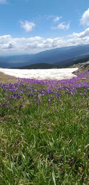 Seven Rila Lakes hike and SPA - The Relaxation: Forest Spa Experience