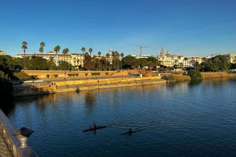 Sevilla Private Full-Day Tour from Malaga - What’s Included and What’s Not