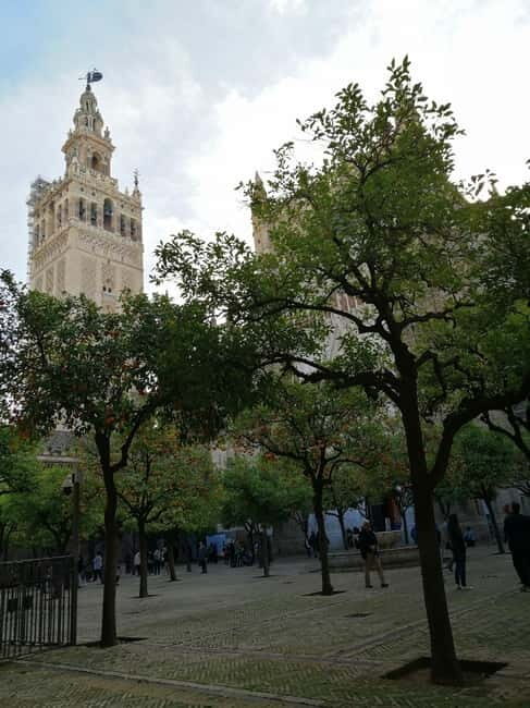 SEVILLE: SANTA MARIA DE LA SEDE CATHEDRAL TOUR - Practical Details and Value