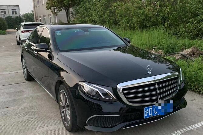 Shanghai Pudong Airport to Shanghai Hotels: Private with Meet & Greet Service - Who Would Love This Service?