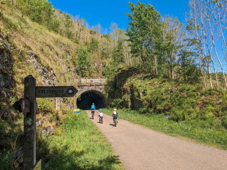 Sheffield: Electric Bike Rental  Explore the Peaks & Beyond - The Bikes and How They Fit Your Needs