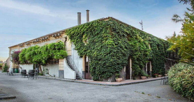 Sicilian Soul: Winery Tour, Wine & Food Tasting in Catania - The Value of the Experience