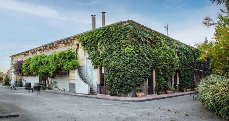 Sicilian Soul: Winery Tour, Wine & Food Tasting in Catania - The Value of the Experience