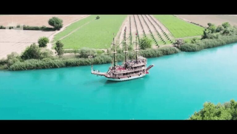 Side: Dolphin Island Boat Tour : A Seaside Adventure - Who Is This Tour Best For?