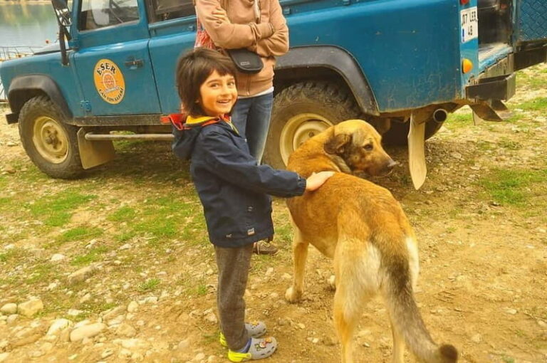Side: Jeep Safari & Lion Safari with Lunch and Green Canyon - Why This Tour Offers Great Value