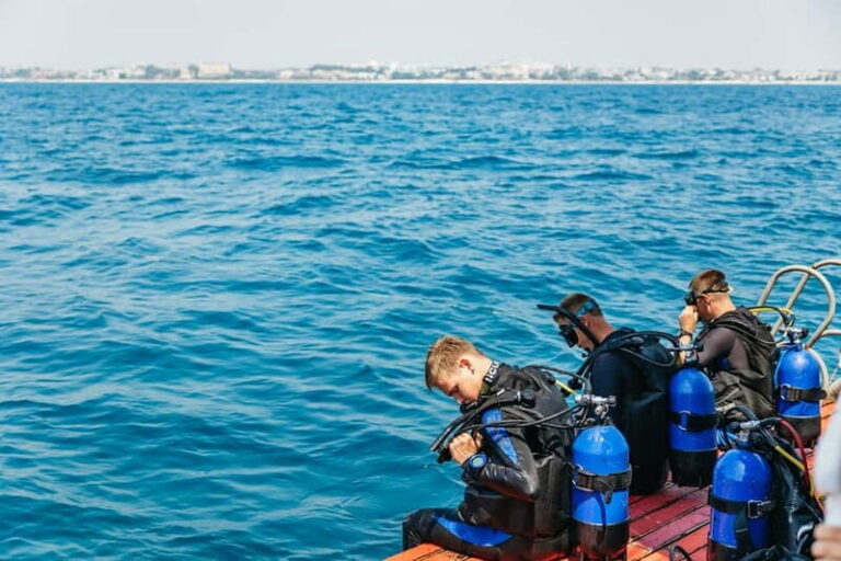 Side: Scuba Diving, Underwater Museum, 2 Dives incl. Lunch - The Itinerary: What to Expect on Your Day of Diving