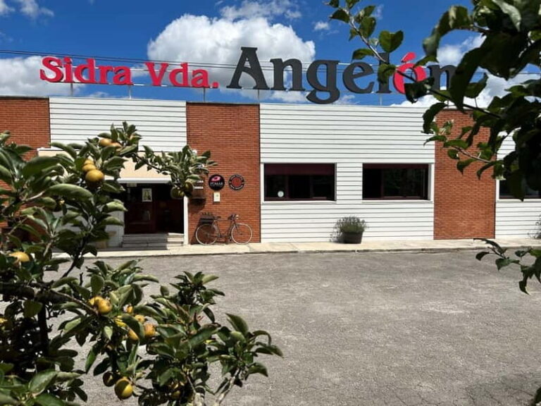 Sidra Vda. de Angelón: guided visit to a cider mill with tasting - Tasting the Cider