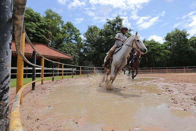 Siem Reap Happy Horse Riding - Key Points