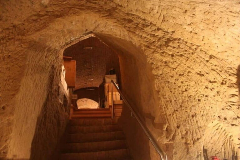 Siena Top - Great wine tasting in Etruscan crypt - An In-Depth Review of the Siena Top - Great Wine Tasting in Etruscan Crypt
