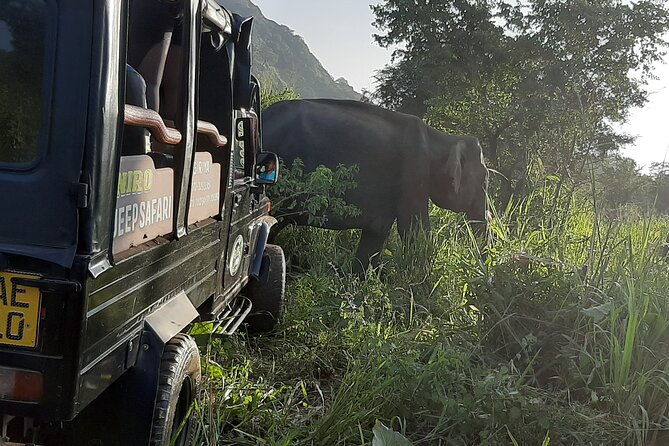 Sigiriya, Dambulla and Minneriya National Park Private Tour In - Exploring the Best of Sri Lanka in One Day: Sigiriya, Dambulla, and Minneriya Private Tour
