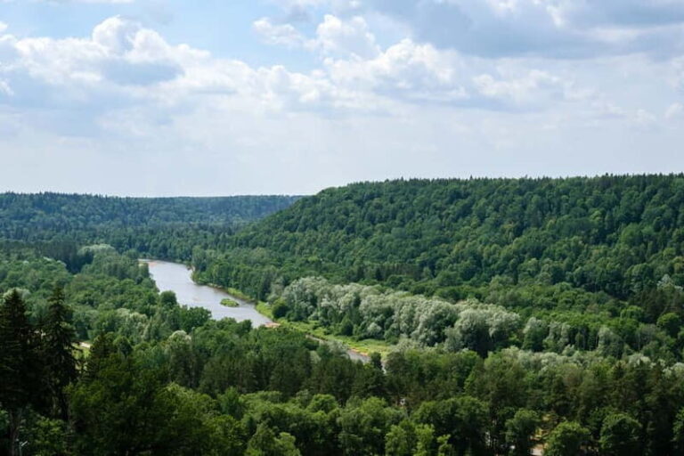 Sigulda Day Tour - Castle Ruins, Gtmaala Grotto, & More - Practical Details: What to Expect and How to Prepare