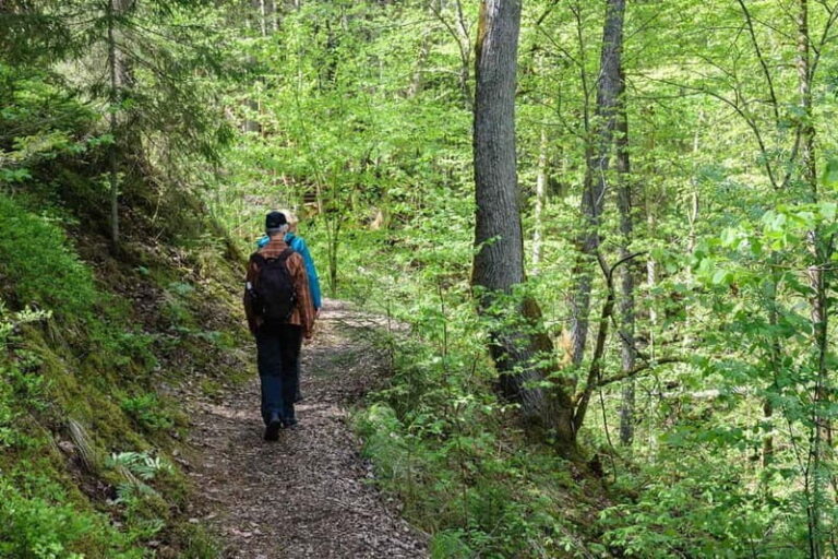Sigulda Hiking Tour: A Day in the Switzerland of Latvia - The Itinerary: What to Expect on Your Day