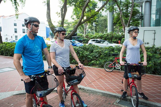 Singapore Full-Day Bike & Food Tour ( Private Tour ) - Exploring Singapore with a Full-Day Bike & Food Tour: An Honest Review