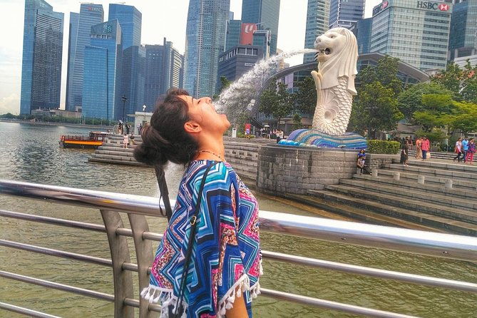 Singapore Instagram Tour By Car (Private & All-Inclusive) - The Guide & Atmosphere