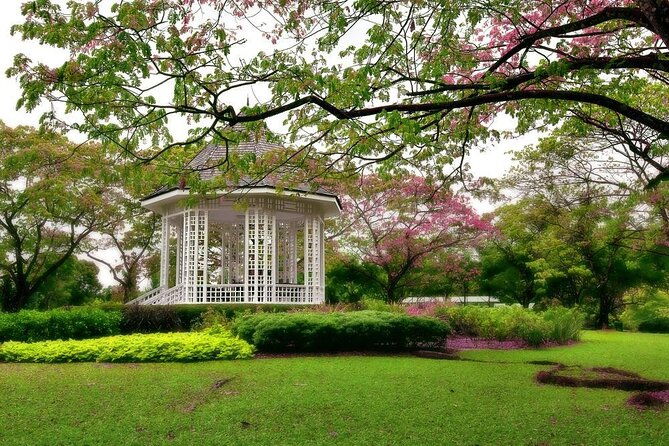 Singapore: National Orchid Garden Admission Ticket - Discover the Beauty of Singapore’s National Orchid Garden