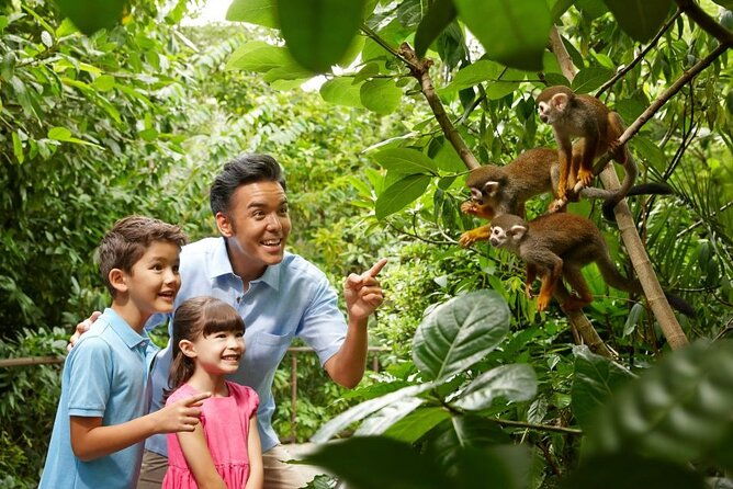 Singapore Zoo - Introduction