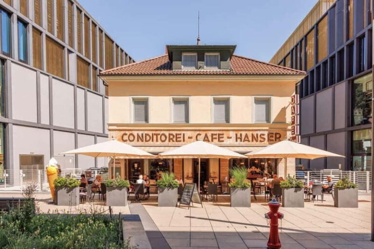 Singen: City tour "Panoramic view and city enjoyment" - Diving into Singen’s Past and Present