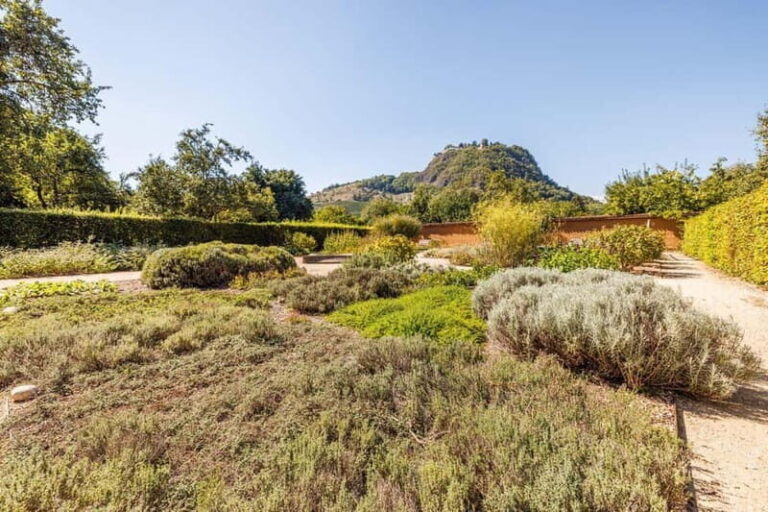 Singing: Guided herb tour "Wild herbs on the banks of the Aa" - Who Will Love This Tour?
