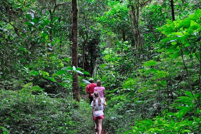 Sinharaja Trekking Day Trip - Private & All Inclusive - Exploring the Sinharaja Trekking Day Trip: An Authentic Jungle Adventure