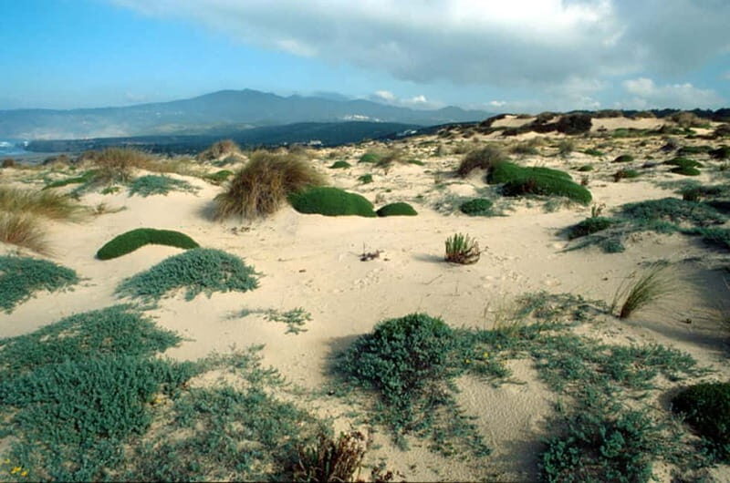 Sintra Cascais Top trekking - Who Will Love This Tour?
