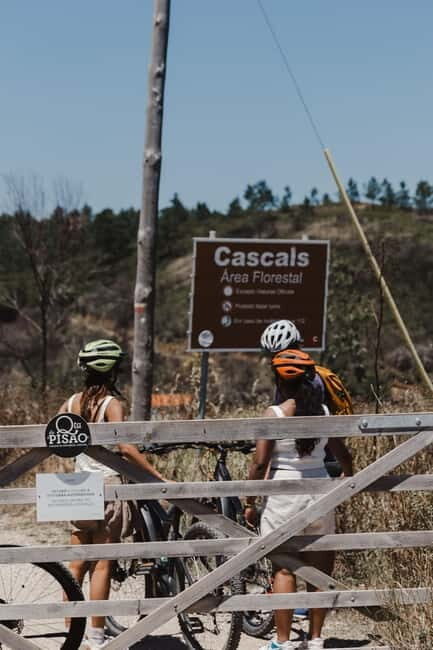 Sintra: E-bike tours of the incredible landscapes - Exploring the Itinerary: What You Can Expect