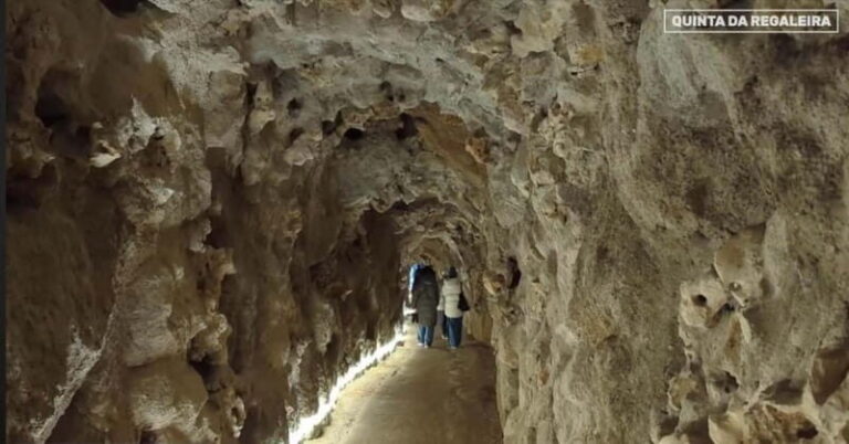 Sintra:Quinta da Regaleira Entry Ticket with Interactive App - Why This Tour Offers Great Value