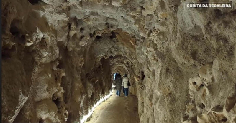 Sintra:Quinta da Regaleira Entry Ticket with Interactive App - Why This Tour Offers Great Value