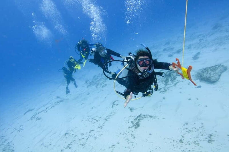 Sithonia: Half-Day Scuba Diving 2 Guided Shore Dives - An Authentic Look at the Experience