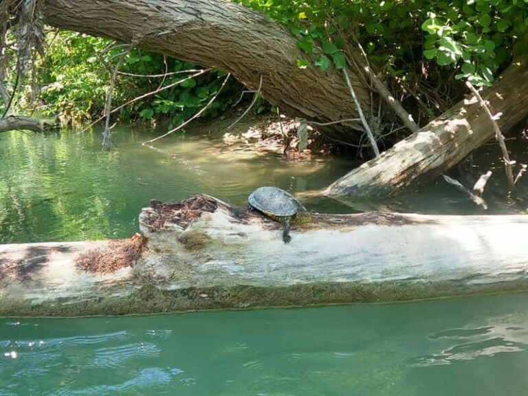 Sivota: Kayaking Adventure in the Acheron River, 13 km - The Experience and Its Value