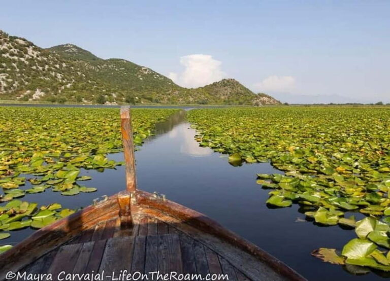 Skadar Lake Boat Tour with Transfer from Podgorica - The Experience: What to Expect on Your Skadar Lake Tour