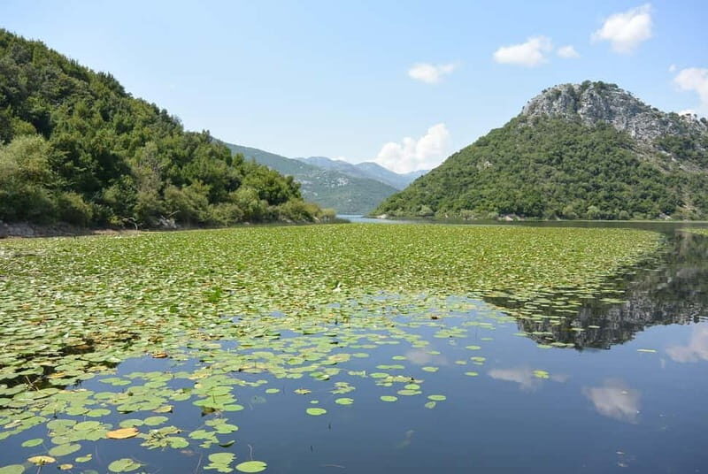 Skadar Lake day trip from Herceg Novi - The Itinerary in Detail