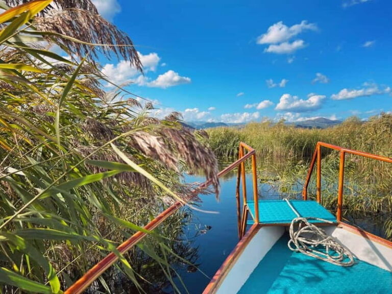 Skadar Lake Nature Cruise with Free Drinks - Practical Details and Value