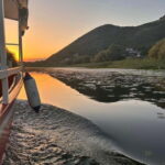 Skadar Lake Private Boat Tour with Wine Tasting - The Experience of Wine Tasting and Local Flavors