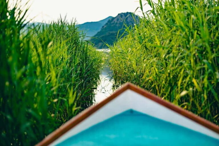 Skadar Lake Virpazar : Speed Boat Special ! - Who Is This Tour Best For?