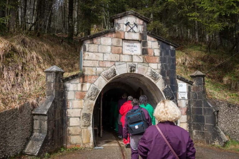 Skip-the-line Salt Mine Salzwelten Salzburg Private Car Tour - Who Should Consider This Tour?