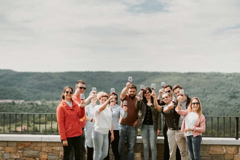 Slovenia Wine Tour in a Family-Owned Cellars - The Experience of Tasting and Talking