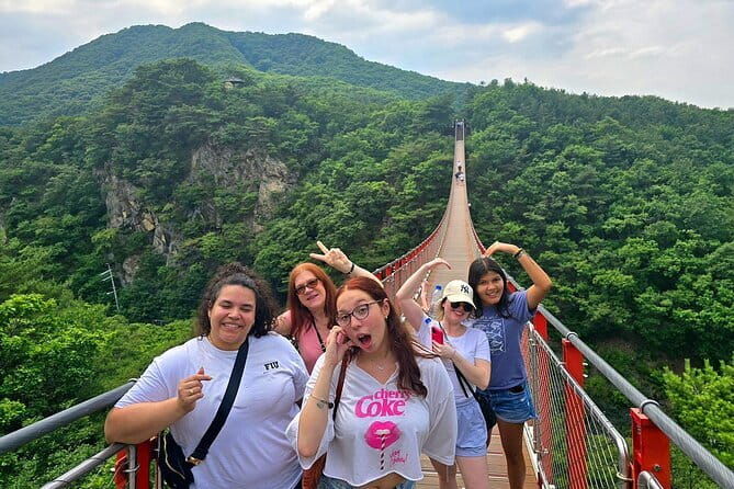 Small Group DMZ Tour from Seoul Korea with North Korean Defector - Key Points  