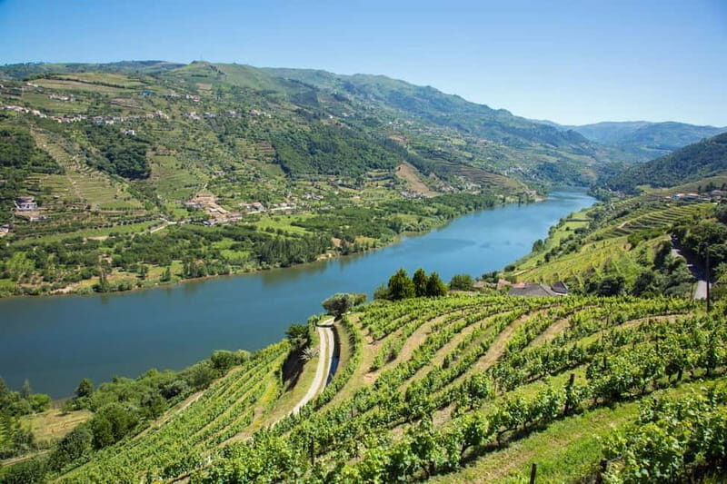 Small Group: Douro Valley Wine Tasting from Porto - Practical Details and Why They Matter