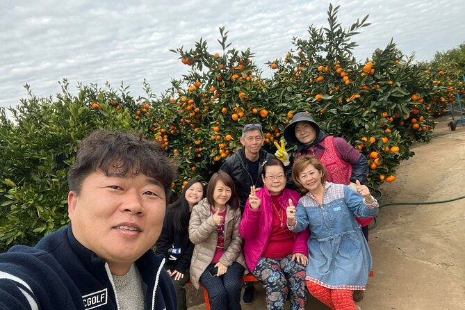 Small group tour FULL - PACKAGE Tour to All Areas in Jeju Island - A Closer Look at the Tour Experience