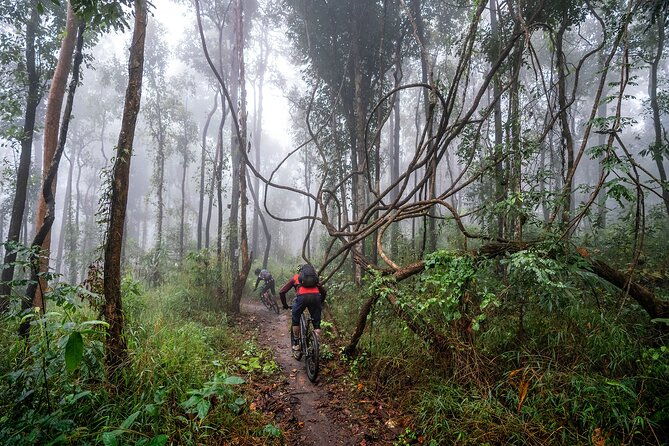 Smoke on the Water Trail Mountain Biking Tour Chiang Mai - Exploring the Smoke on the Water Trail Mountain Biking Tour in Chiang Mai