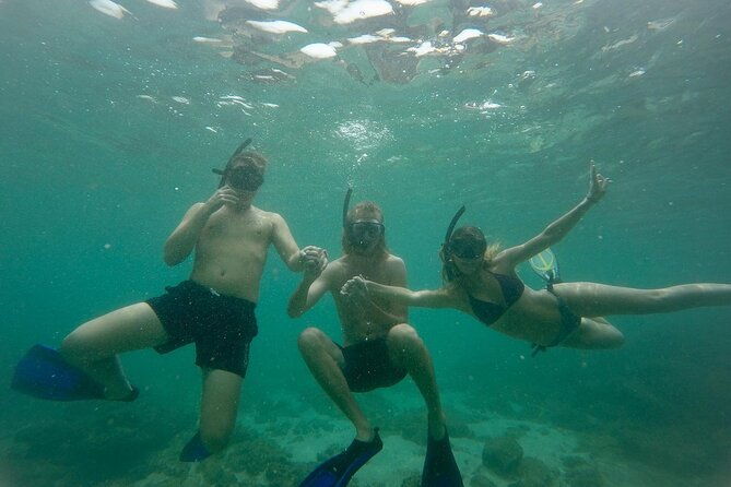 Snorkeling On Beautiful Rock Island - Unawatuna by Boat - Snorkeling On Beautiful Rock Island - Unawatuna by Boat: A Detailed Review