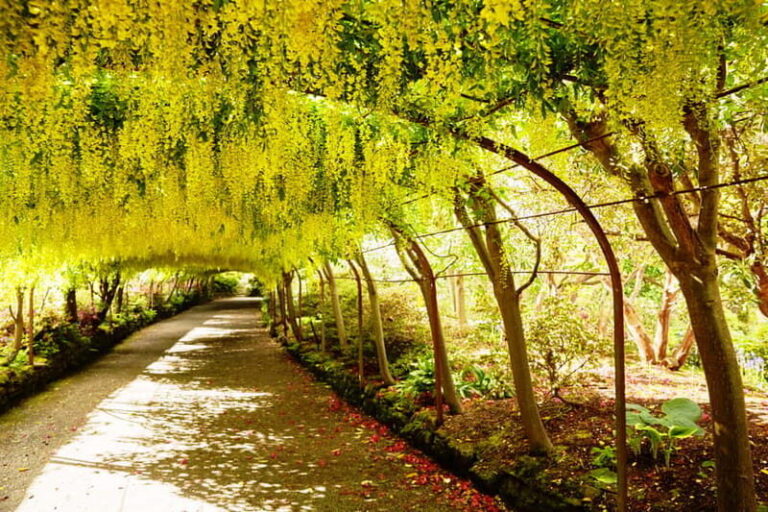 Snowdonia: Snowdonia, Bodnant Gardens & Castles Private Tour - Starting Point and Transport