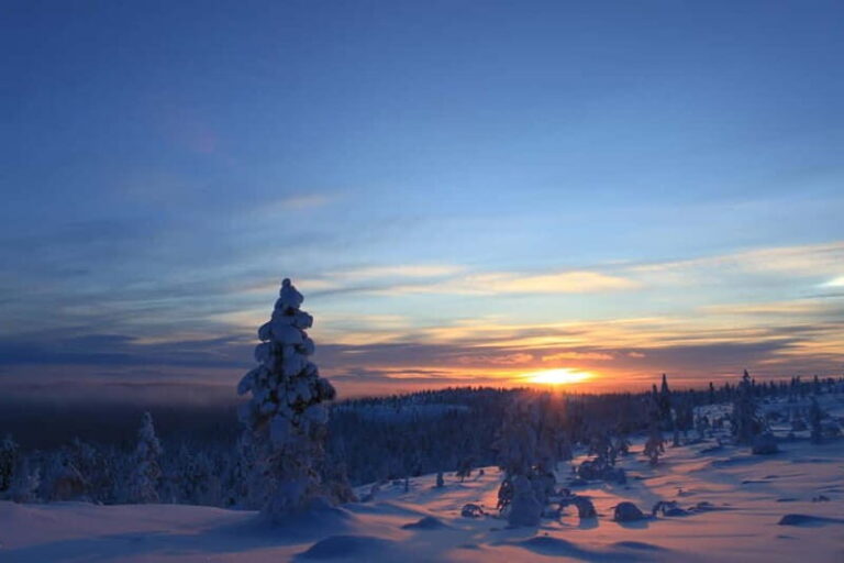 Snowshoe up a Mountain - Transport, Duration, and Practical Details