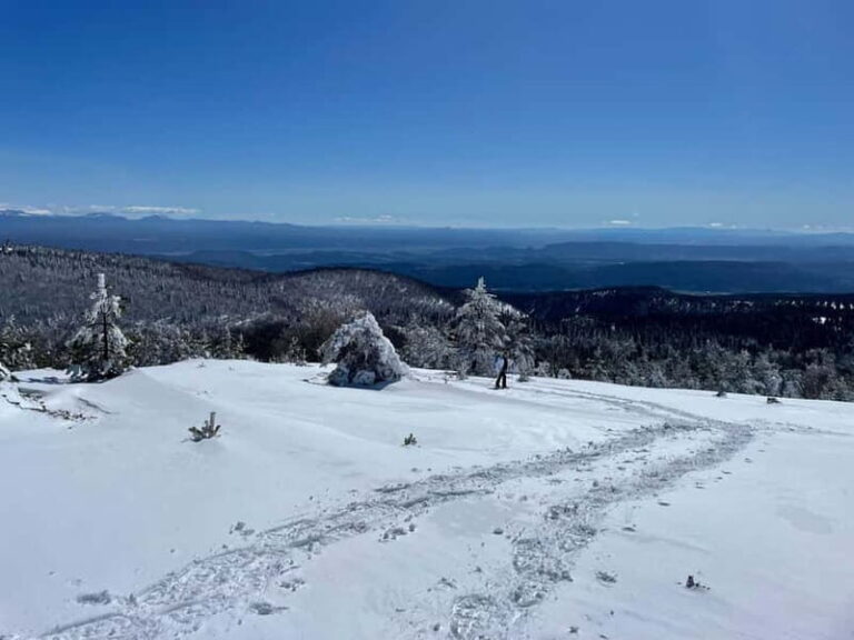 Snowshoeing on the Lure mountain - What to Expect on Your Snowshoe Adventure