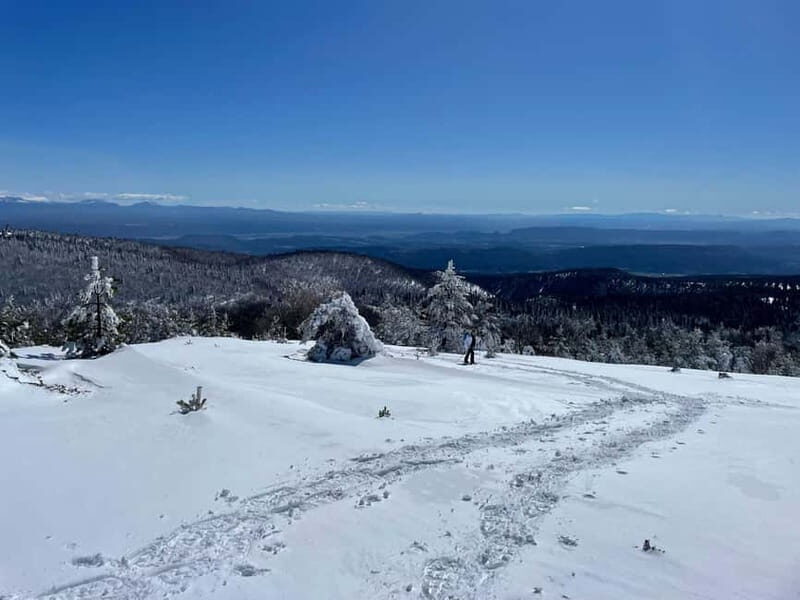 Snowshoeing on the Lure mountain - What to Expect on Your Snowshoe Adventure