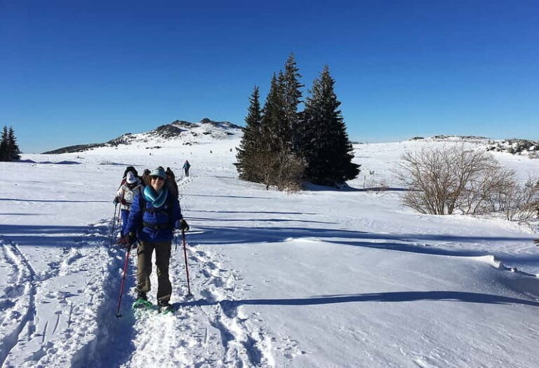 Sofia: Black Peak-Vitosha Mountain Snowshoeing Day Trip - Who Will Love This Experience?