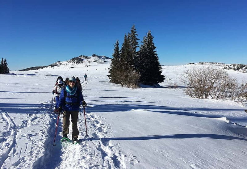 Sofia: Black Peak-Vitosha Mountain Snowshoeing Day Trip - Who Will Love This Experience?