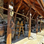 Sofia  Kazanluk Rose Valley & Oil Distillery Tour - Transportation and Group Experience