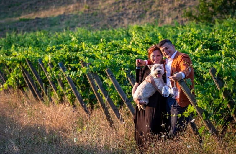 Soiana: Vineyard & Cellar Tour with Wine Tasting near Pisa - Practical Details & Tips