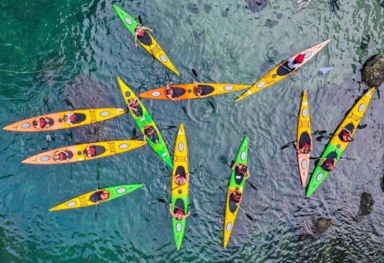 Sorrento: Guided Kayak Tour with Paddleboarding - What You Can Expect from This Sorrento Kayak Tour